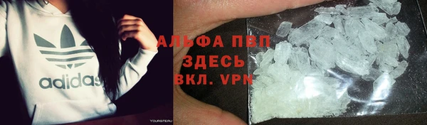 кокс Арсеньев