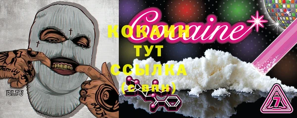 spice Аркадак