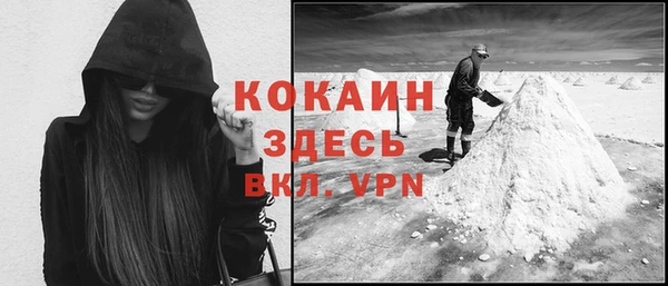 кокс Арсеньев