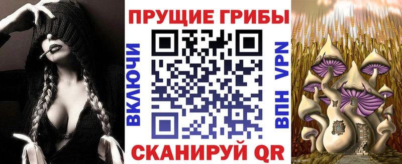 Галлюциногенные грибы мухоморы  купить наркоту  Кологрив 